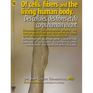 DVD : Des cellules, des fibres et le corps humain vivant.